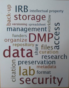 One side of RDM handout