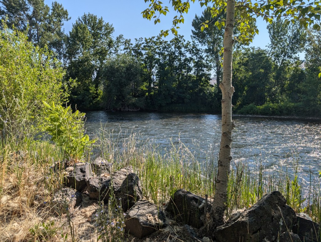 Giving This Blog New&nbsp;Life