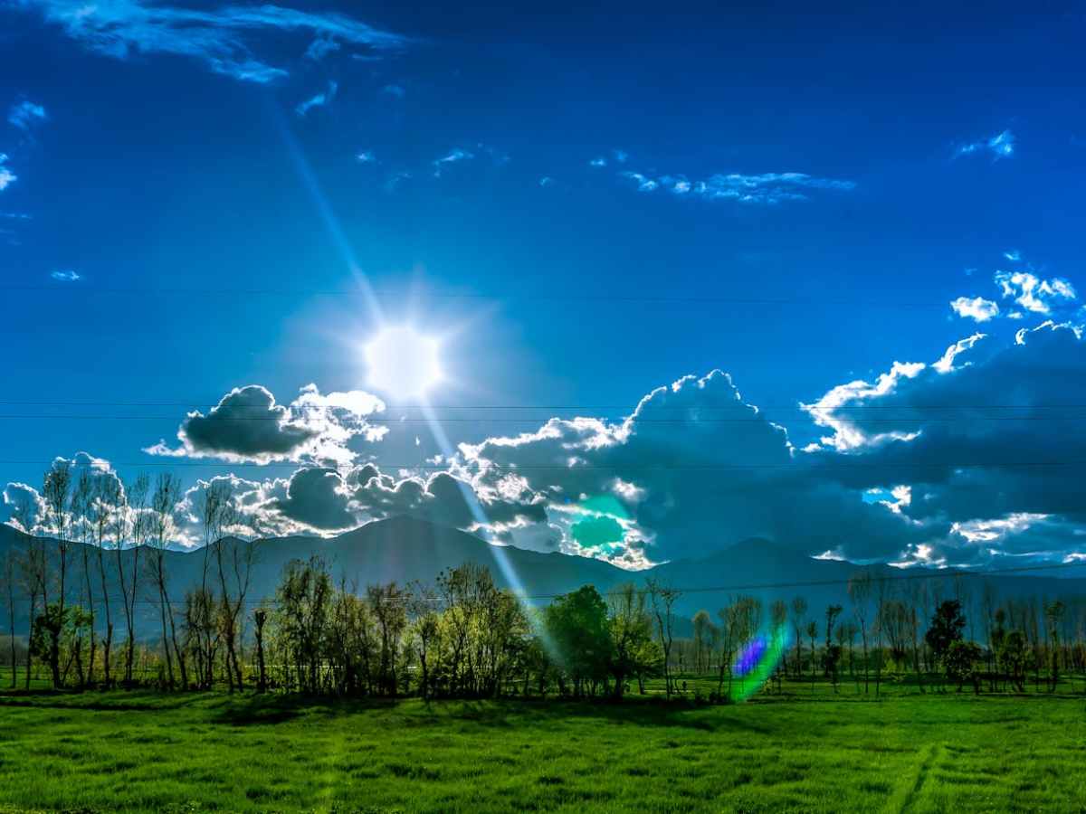 New Publication Alert!